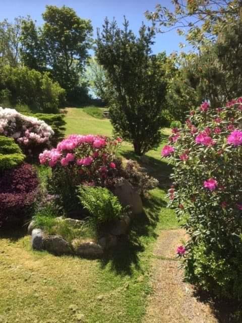 Bjergby Bed & Breakfast Bed & Breakfast Hjorring Exterior photo